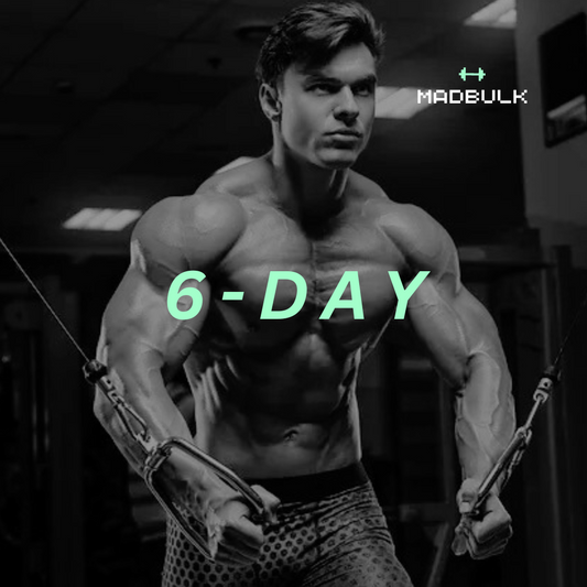 6 Days/Week - Using All Gym Equipment Program