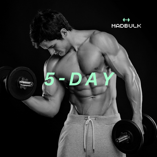 5 Days/Week - Using Dumbbells Program