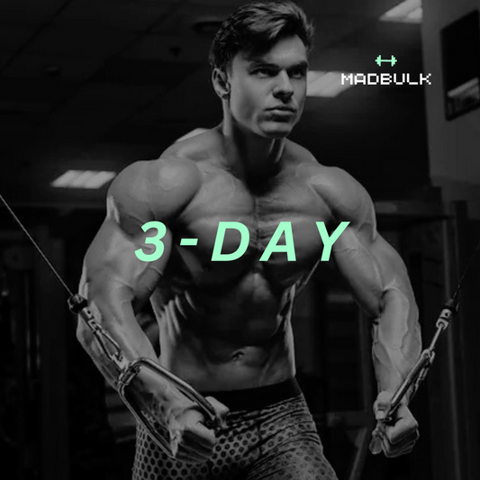 3 Days/Week - Using All Gym Equipment Program